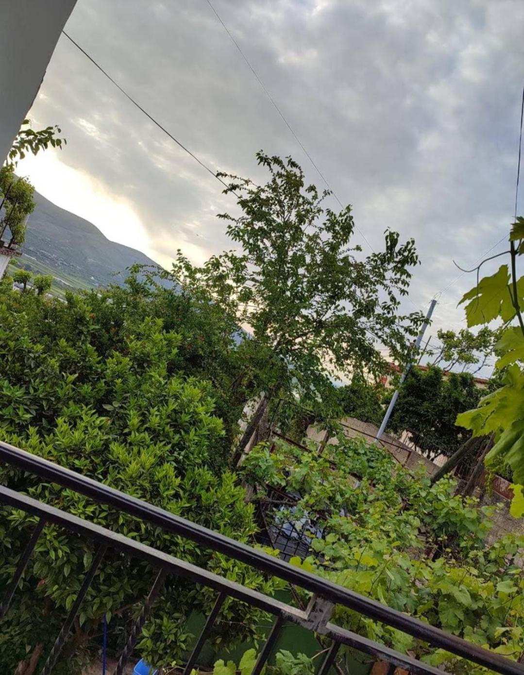 Eloid Apartment Berat